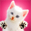 ~~*** calie ***~~